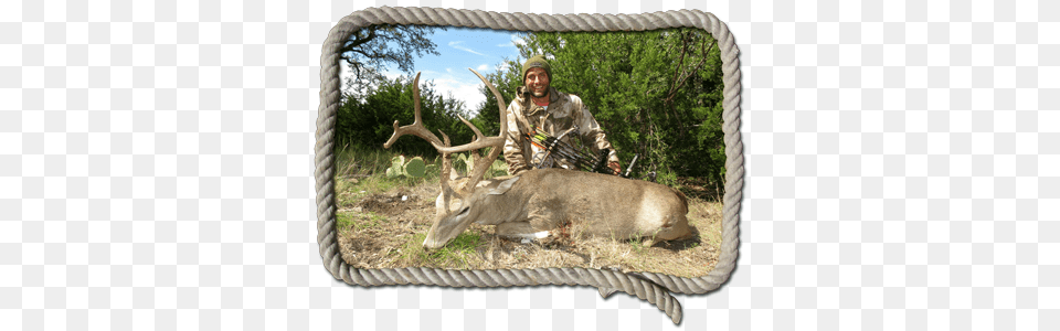 Trophy Whitetail Deer Hunting Deer Hunting, Wildlife, Mammal, Animal, Plant Free Transparent Png