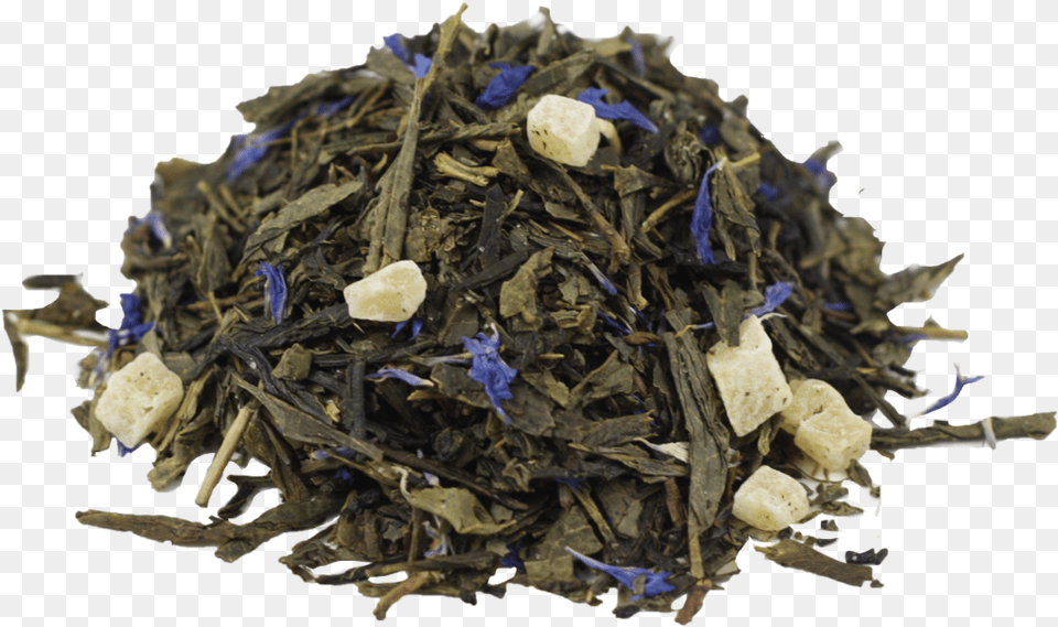 Tropic Green Tea Bancha, Herbal, Herbs, Plant, Person Free Transparent Png
