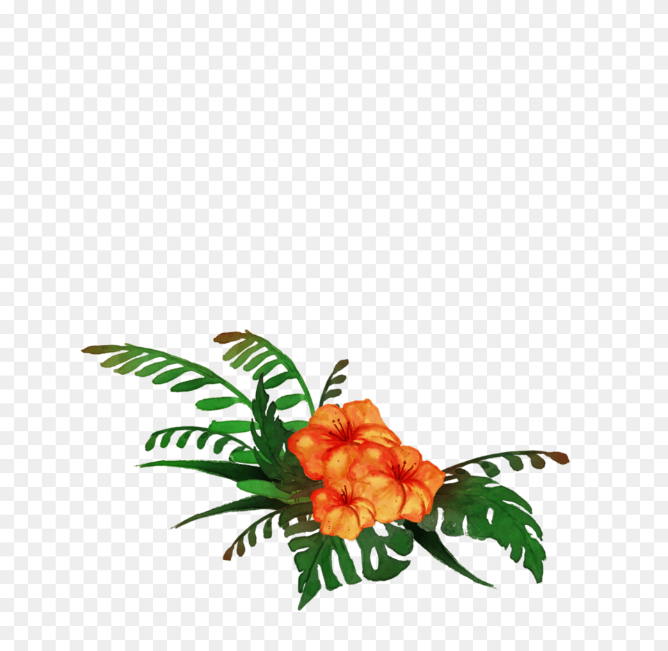 Tropical, Rose, Plant, Pattern, Graphics Free Png Download