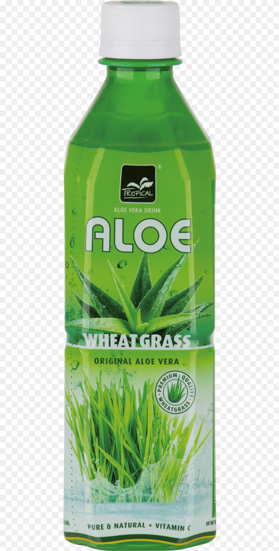 Tropical Aloe Vera Wheatgrass Aloe Tropical 1, Plant, Grass, Green, Herbal Free Png Download