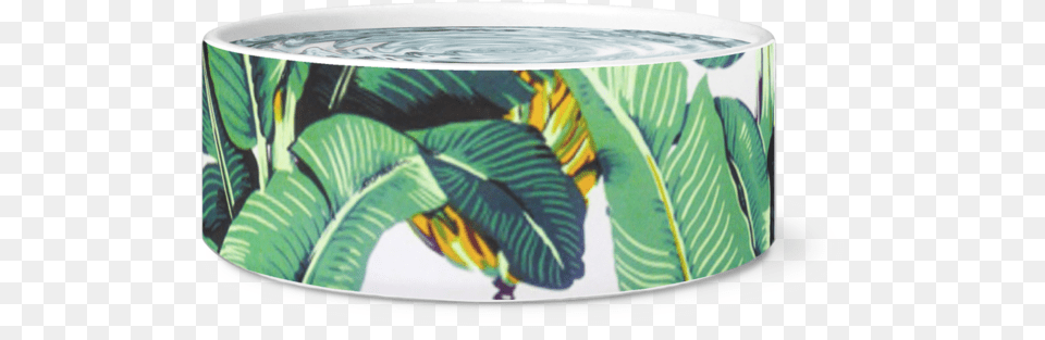Tropical Banana Leaf Pet Bowl La Isla De La Martinica Wall Clock, Tub, Hot Tub, Plant, Cup Free Png Download