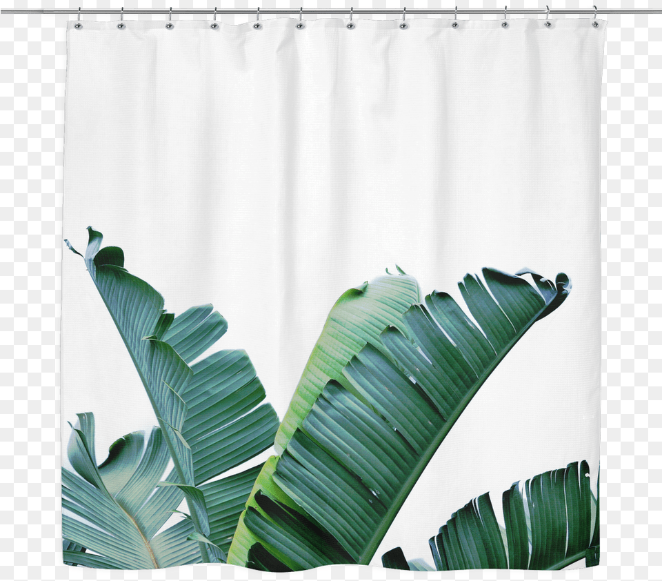 Tropical Banana Leaf Plant, Curtain, Shower Curtain Png Image