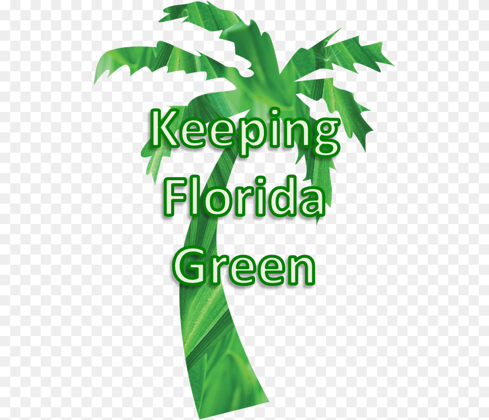 Tropical Beach 1 Ornament Clipart, Leaf, Green, Vegetation, Plant Png Image