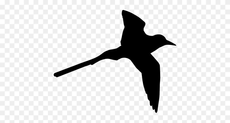 Tropical Bird Shape Of Long Tail, Silhouette, Animal, Flying, Stencil Png