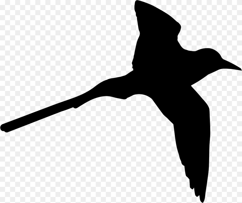 Tropical Bird Shape Of Long Tail Tropical Bird Icon, Silhouette, Animal, Flying, Stencil Free Transparent Png