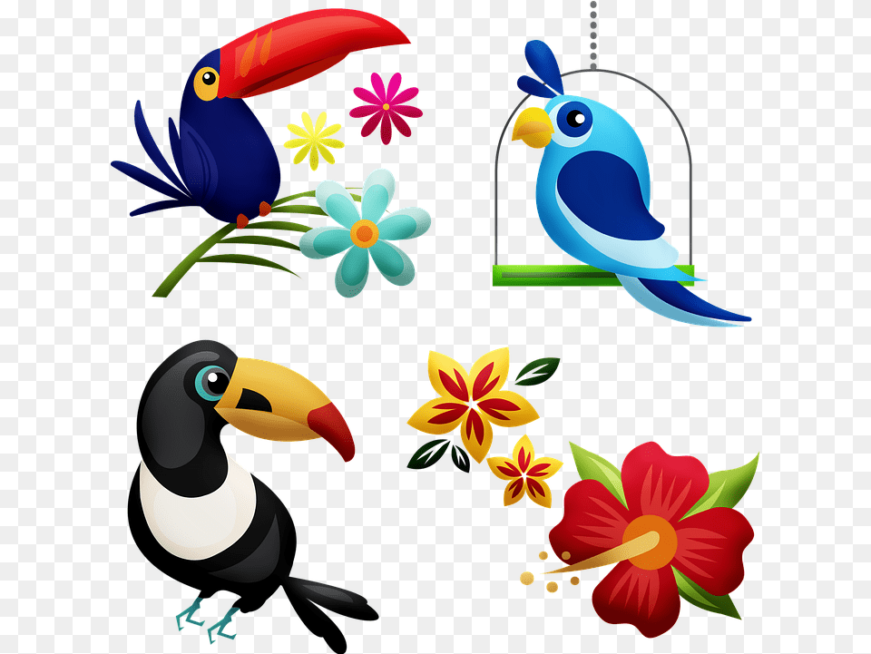 Tropical Birds Toucan Hibiscus Bird Rainforest Hornbill Beach Outfit Layout, Animal, Beak, Flower, Plant Png