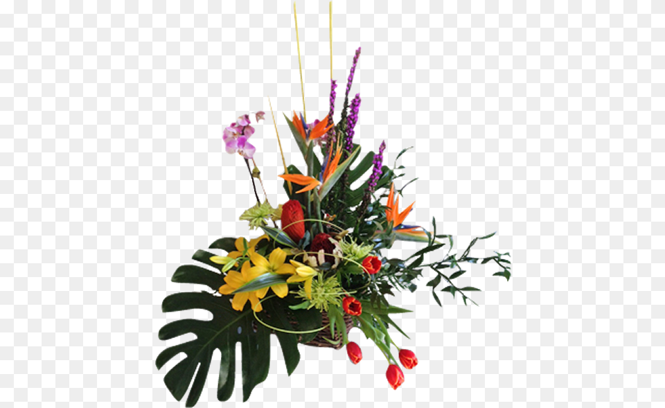 Tropical Bouquet, Flower, Flower Arrangement, Flower Bouquet, Ikebana Png