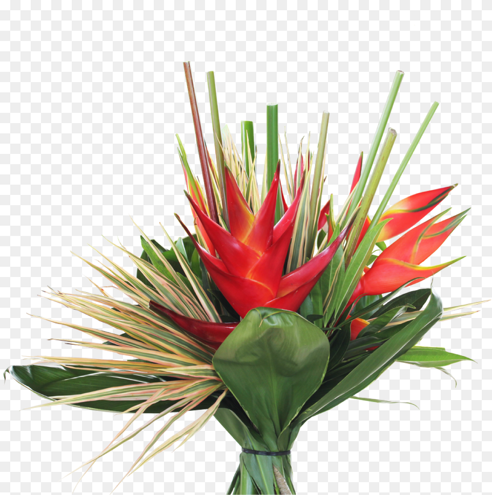 Tropical Bouquets, Flower, Flower Arrangement, Plant, Flower Bouquet Png Image