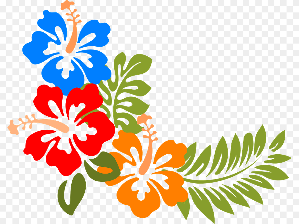 Tropical Clip Art, Flower, Hibiscus, Pattern, Plant Free Png Download