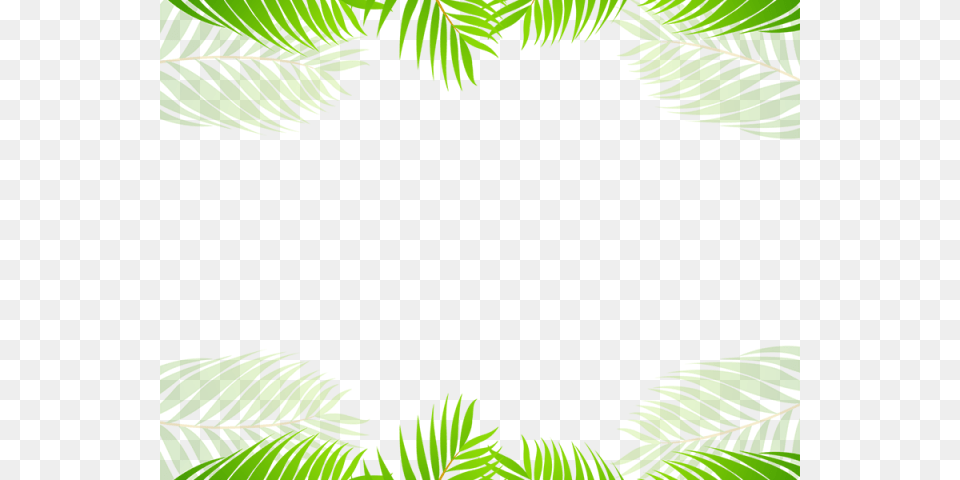 Tropical Clipart Border Palm Tree, Fern, Rainforest, Plant, Outdoors Png Image