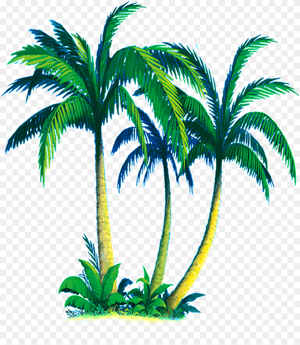 Tropical Coconut Tree Download Vector, Nature, Outdoors, Palm Tree, Plant Free Transparent Png