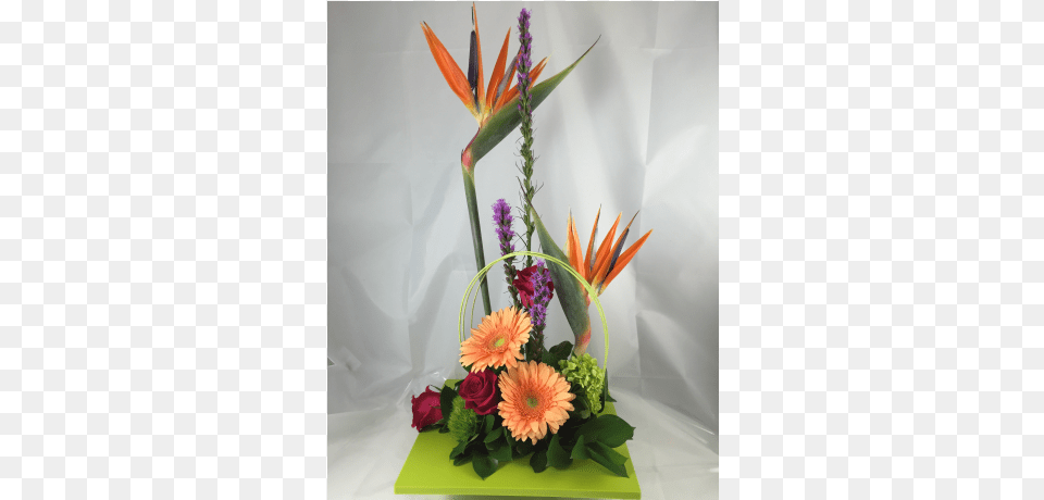 Tropical Dreams Hydrangea, Art, Floral Design, Flower, Flower Arrangement Free Transparent Png