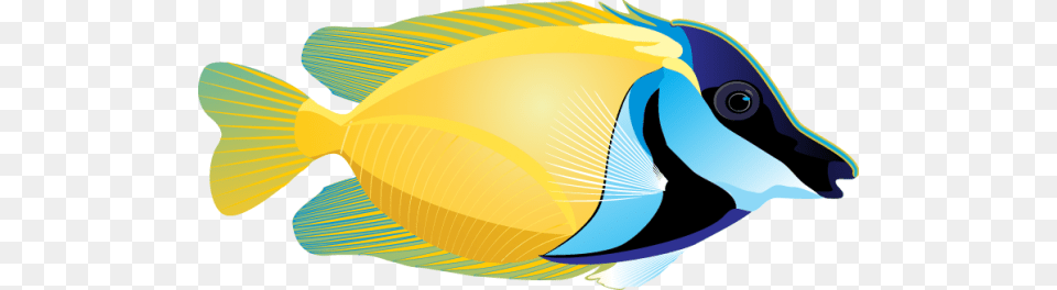 Tropical Fish Clip Art, Animal, Sea Life, Surgeonfish, Angelfish Png Image