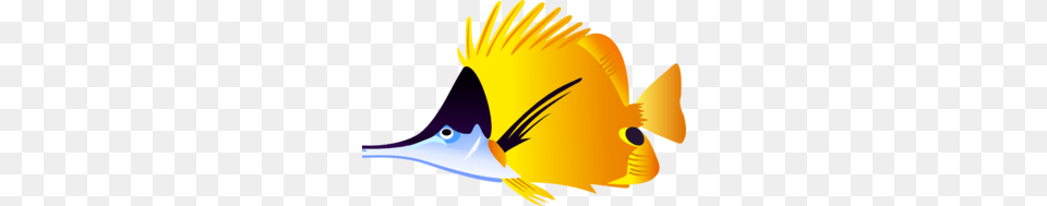 Tropical Fish Clip Art, Animal, Sea Life, Shark, Angelfish Free Png