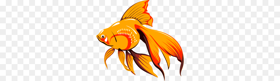 Tropical Fish Clip Art, Animal, Sea Life, Goldfish, Shark Free Png Download