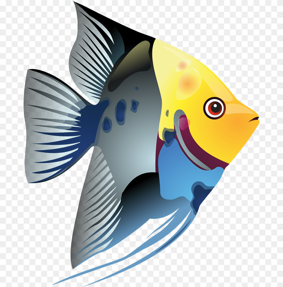 Tropical Fish Clip Art Look, Angelfish, Animal, Sea Life, Shark Free Png Download