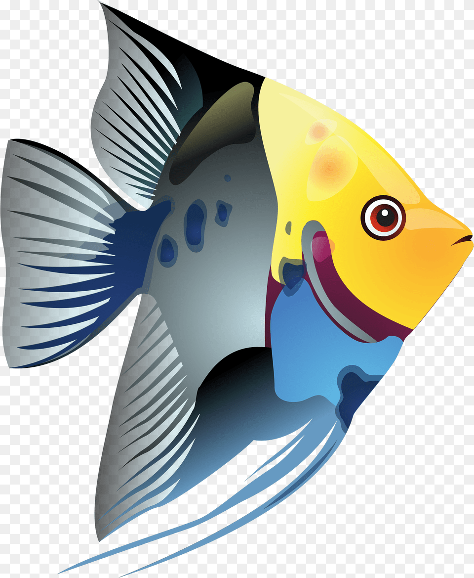 Tropical Fish Clipart, Angelfish, Animal, Sea Life, Shark Free Png