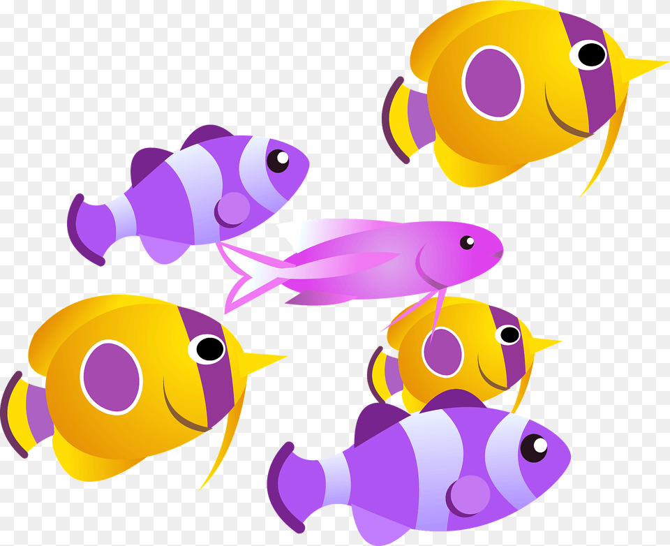 Tropical Fish Clipart, Animal, Sea Life Png