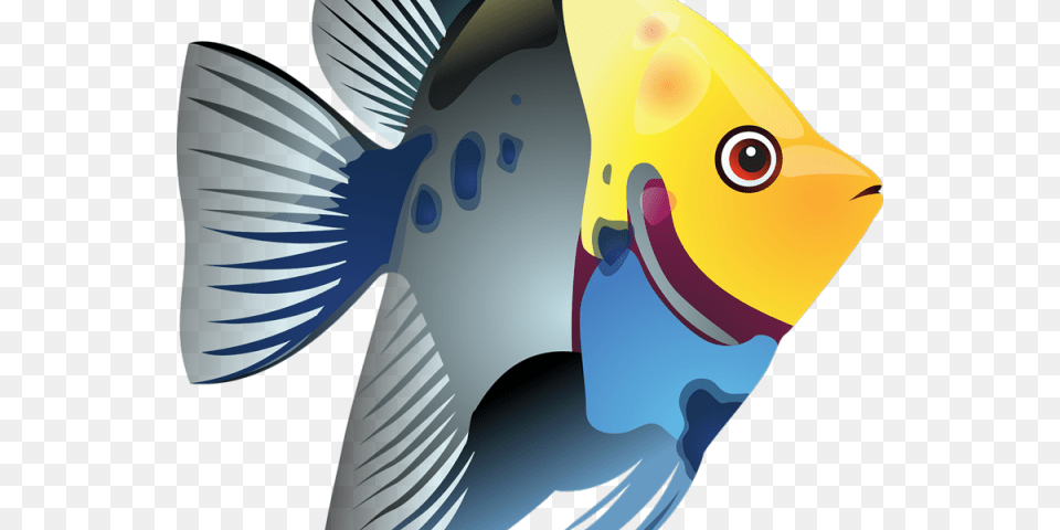 Tropical Fish Clipart Betta Fish Tropical Fish Clipart, Angelfish, Animal, Sea Life, Rock Beauty Png Image