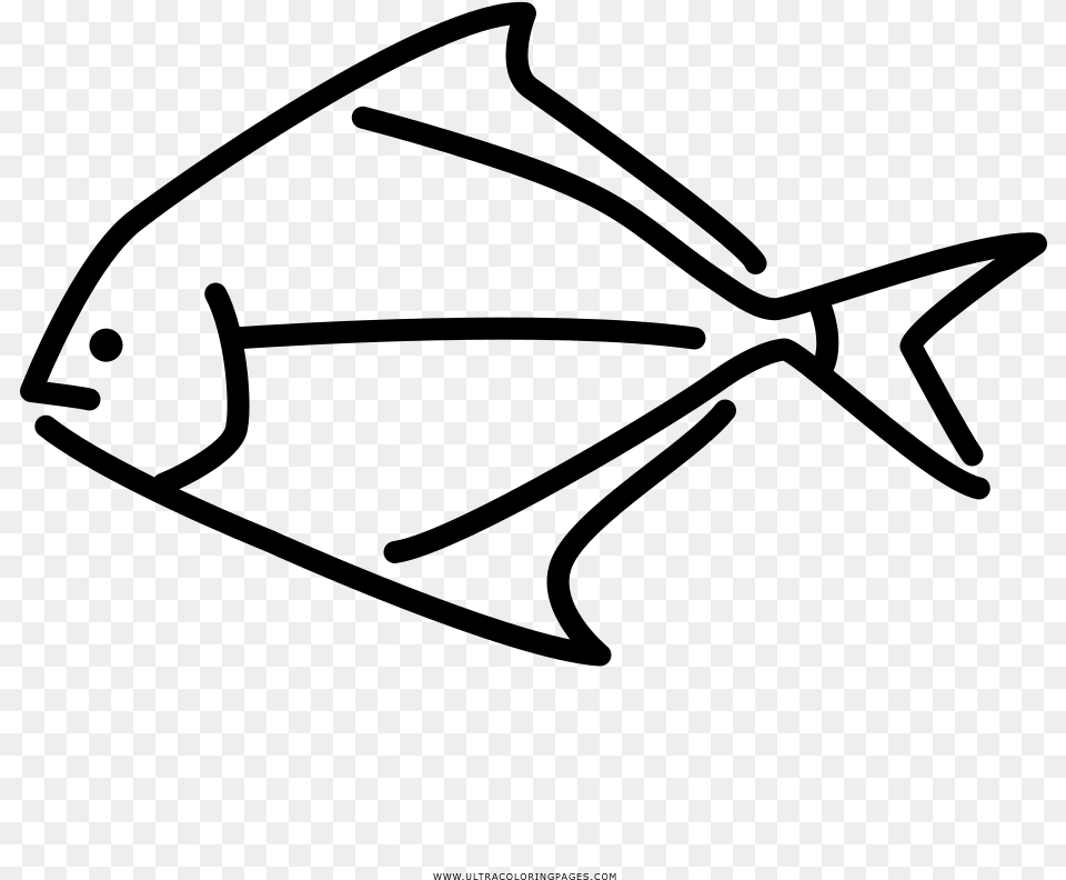 Tropical Fish Coloring, Gray Free Png Download