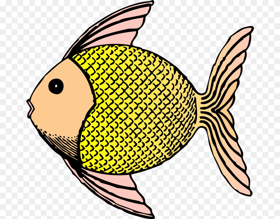 Tropical Fish Computer Icons Fish Fin Coloring Book, Animal, Sea Life, Angelfish, Baby Free Png Download