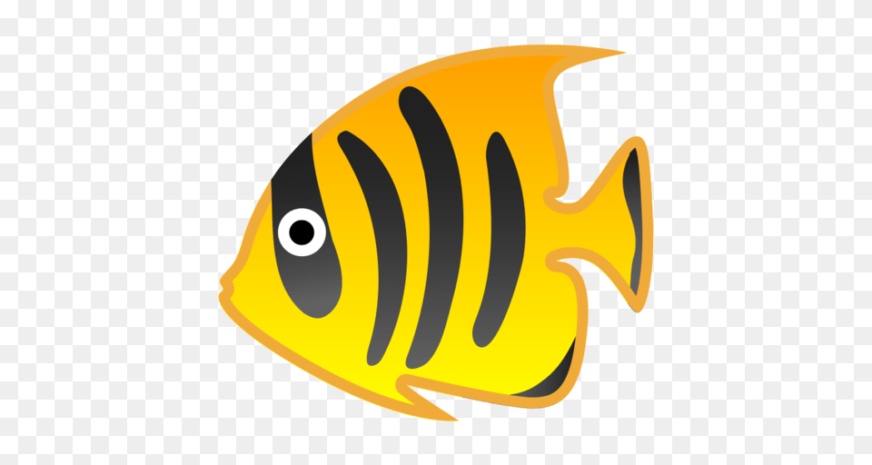 Tropical Fish Emoji, Angelfish, Animal, Sea Life, Rock Beauty Free Transparent Png