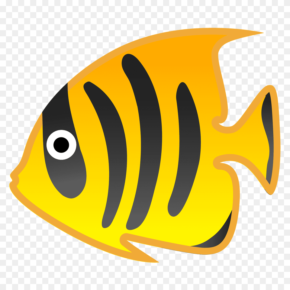 Tropical Fish Emoji Clipart, Angelfish, Animal, Sea Life, Rock Beauty Png