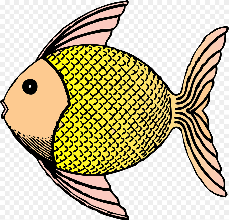 Tropical Fish Fish With Scales Clipart, Animal, Sea Life, Angelfish Free Transparent Png