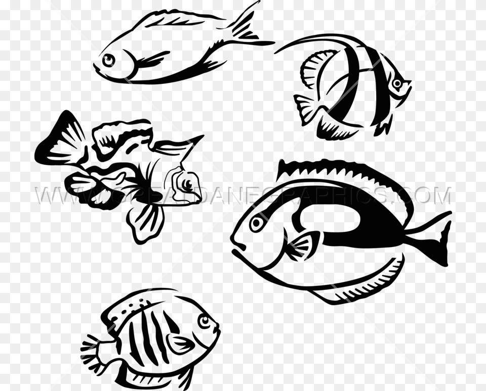 Tropical Fish Production Ready Artwork For T Shirt Printing, Pattern, Animal, Sea Life Png