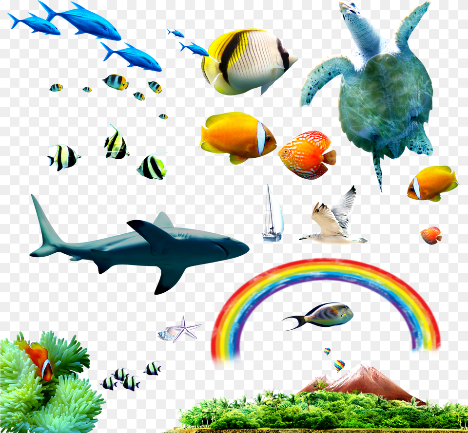 Tropical Fish Sea Clip Art, Animal, Aquarium, Aquatic, Water Free Png