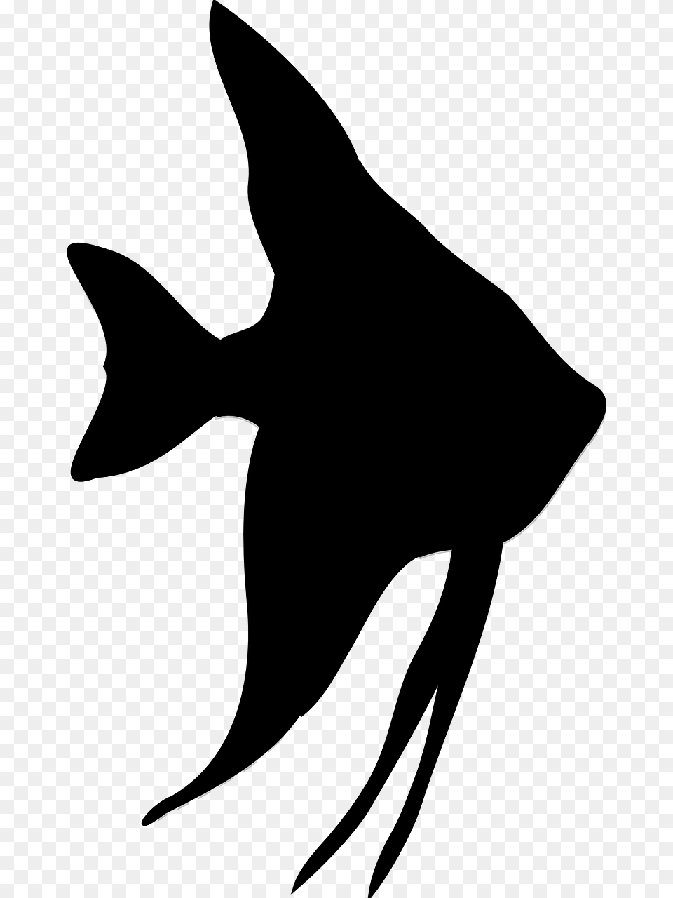 Tropical Fish Silhouette, Gray Png