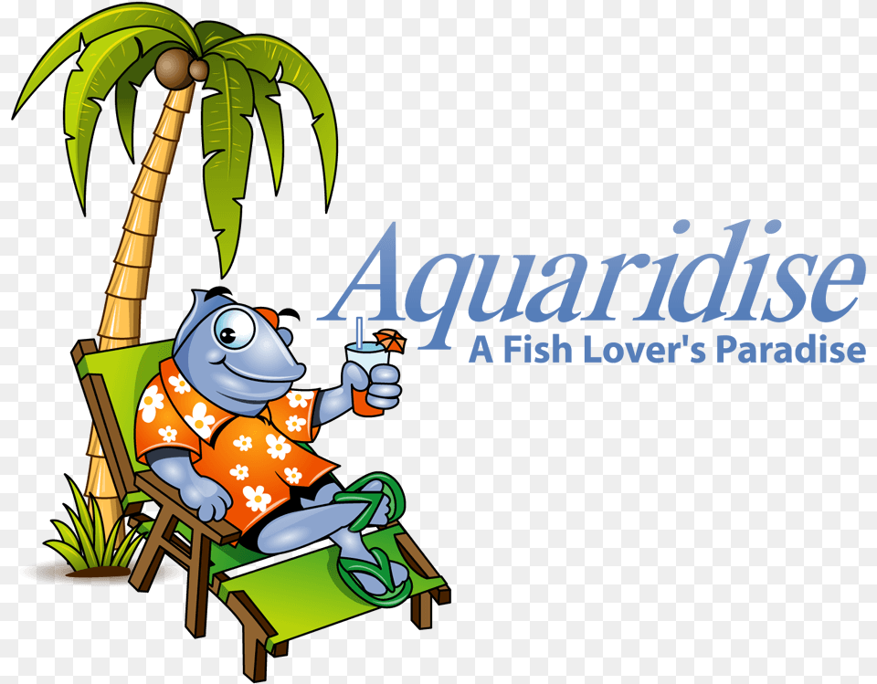 Tropical Fish Store Aquarium Shop Aquarium, Outdoors, Baby, Cartoon, Person Free Png