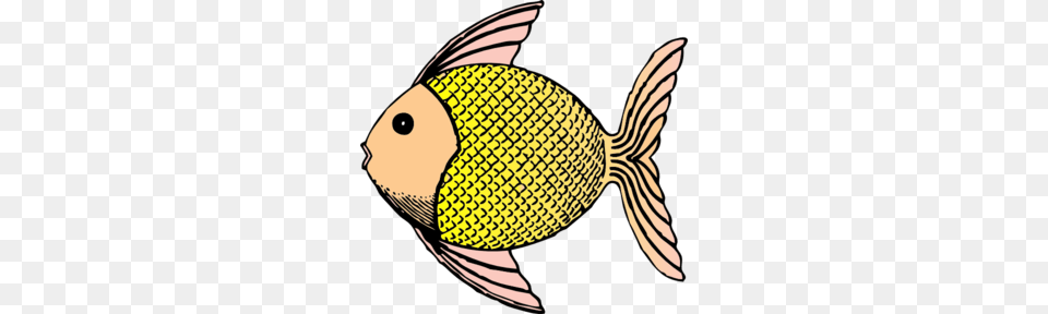 Tropical Fish With Scales Clip Art, Animal, Sea Life, Angelfish Png Image