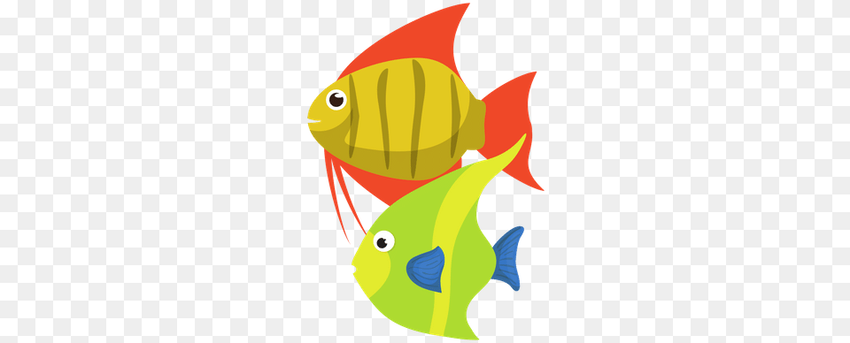 Tropical Fishes 0shares Design, Angelfish, Animal, Fish, Sea Life Png