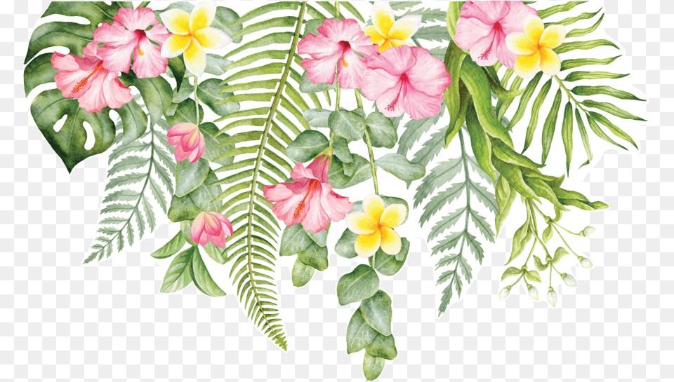 Tropical Floral Transparent Tropical Flower Frame, Art, Graphics, Leaf, Petal Png