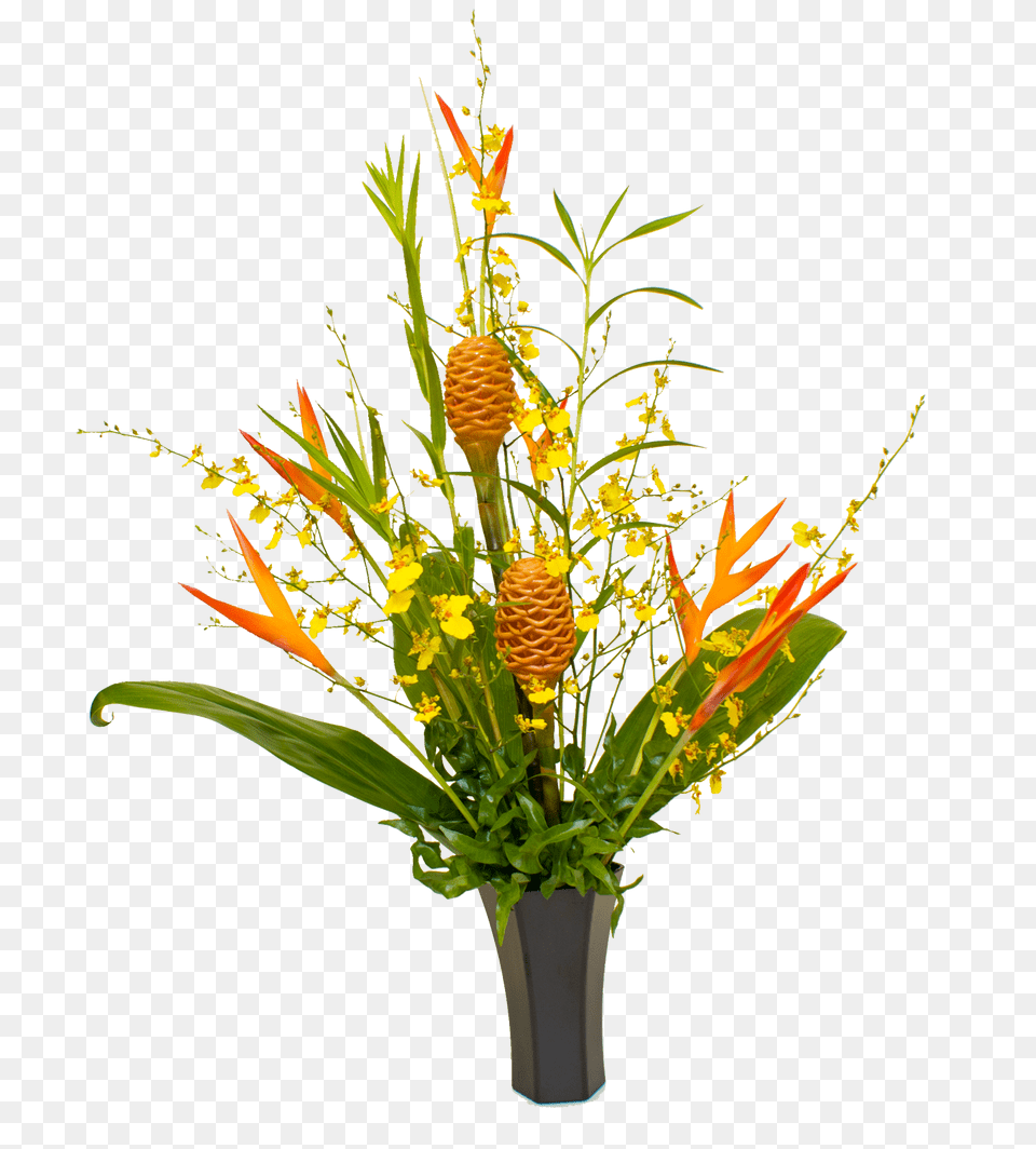 Tropical Flower Arrangements From Hawaii, Flower Arrangement, Flower Bouquet, Ikebana, Plant Png