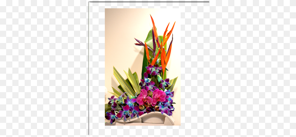 Tropical Flower Arrangements Picture Frame, Art, Floral Design, Flower Arrangement, Flower Bouquet Free Png Download