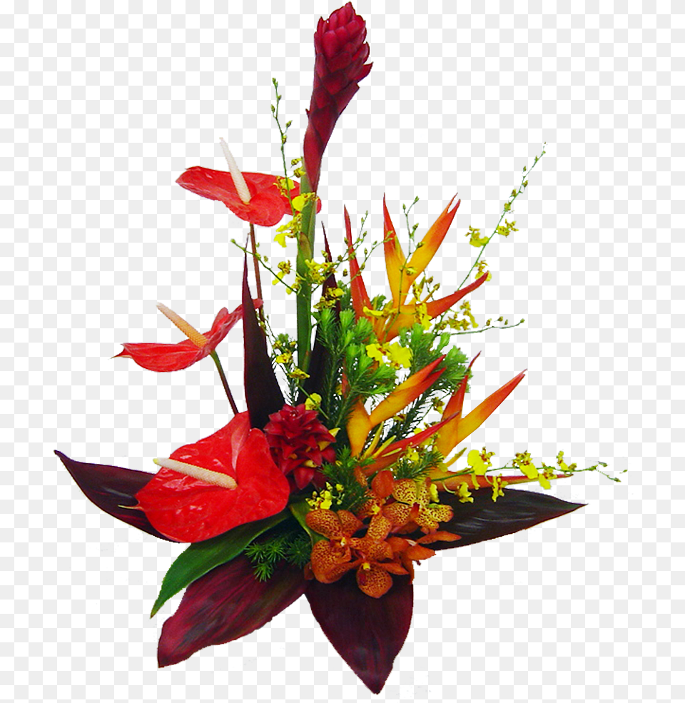 Tropical Flower Bouquet, Flower Arrangement, Flower Bouquet, Plant, Art Free Png