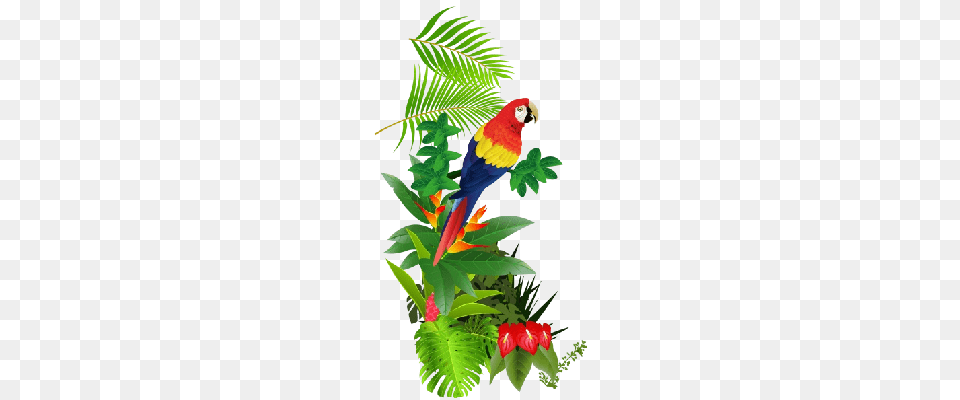 Tropical Flower Clip Art, Animal, Bird, Macaw, Parrot Free Transparent Png