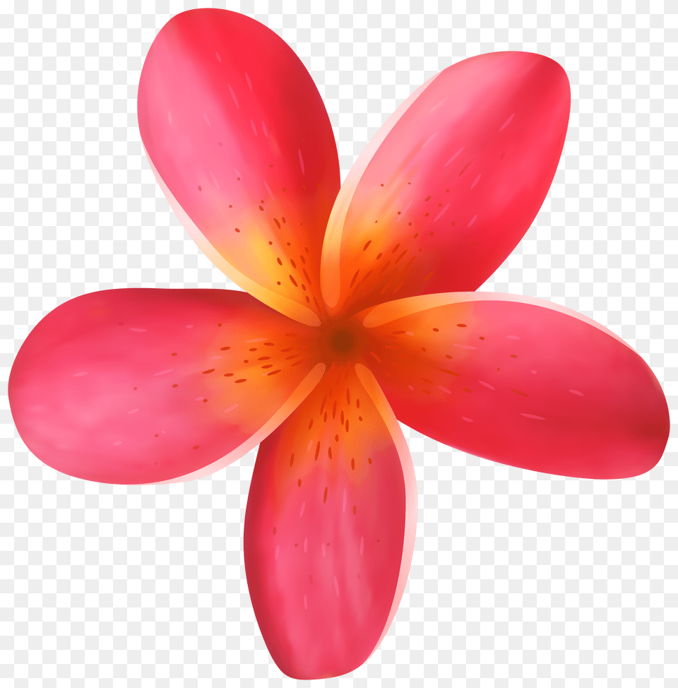 Tropical Flower Clip Art Free Png Download