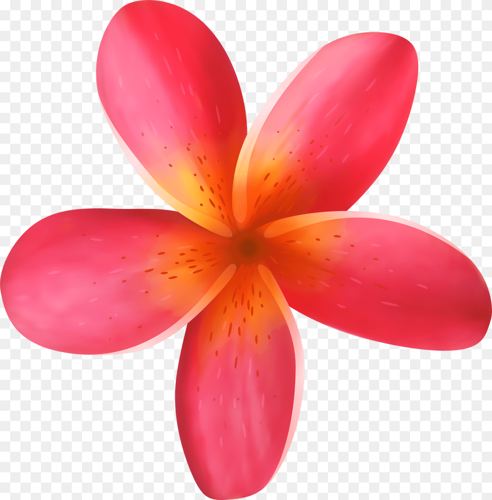 Tropical Flower Clip Art Png Image