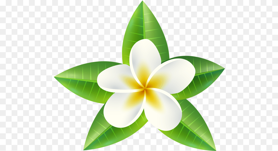 Tropical Flower Clip Art Image Transparent Tropical Flowers Clipart, Leaf, Plant, Appliance, Ceiling Fan Free Png