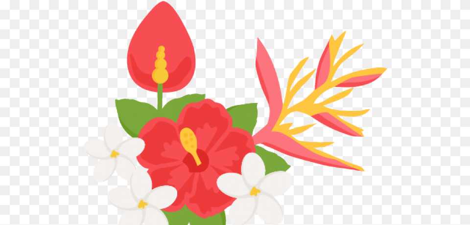 Tropical Flower Clipart, Anther, Petal, Plant, Flower Arrangement Free Png Download