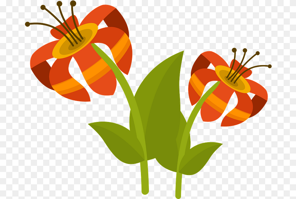 Tropical Flower Clipart Fresh, Plant, Anther, Art, Graphics Free Transparent Png
