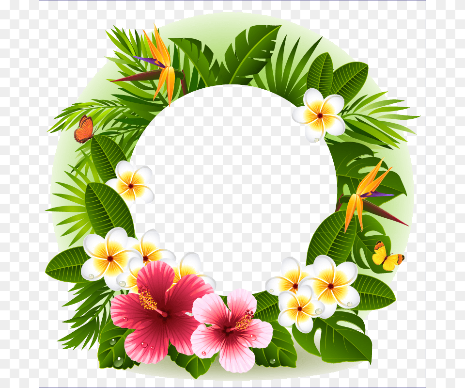 Tropical Flower Decorative Borders, Plant, Leaf Png Image