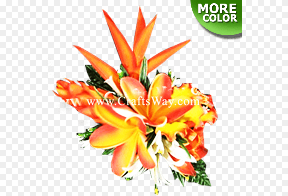Tropical Flower Hair Clip Orange Lily, Art, Floral Design, Flower Arrangement, Flower Bouquet Png Image