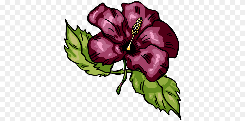Tropical Flower Hibiscus Transparent U0026 Svg Vector File Hawaiian Hibiscus, Plant, Baby, Person, Face Png
