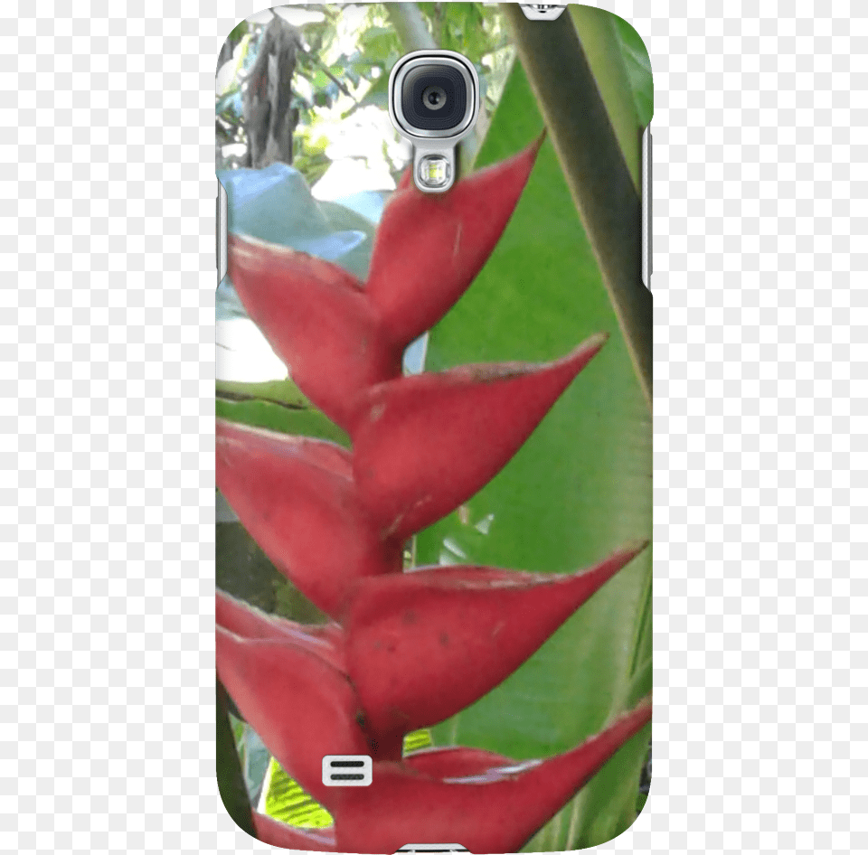 Tropical Flower Phone Case Mobile Phone Case, Plant, Araceae, Electronics, Petal Png Image