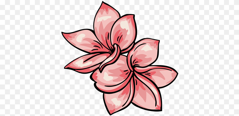 Tropical Flower Plumeria Transparent U0026 Svg Vector File Lily, Dahlia, Plant, Baby, Person Png