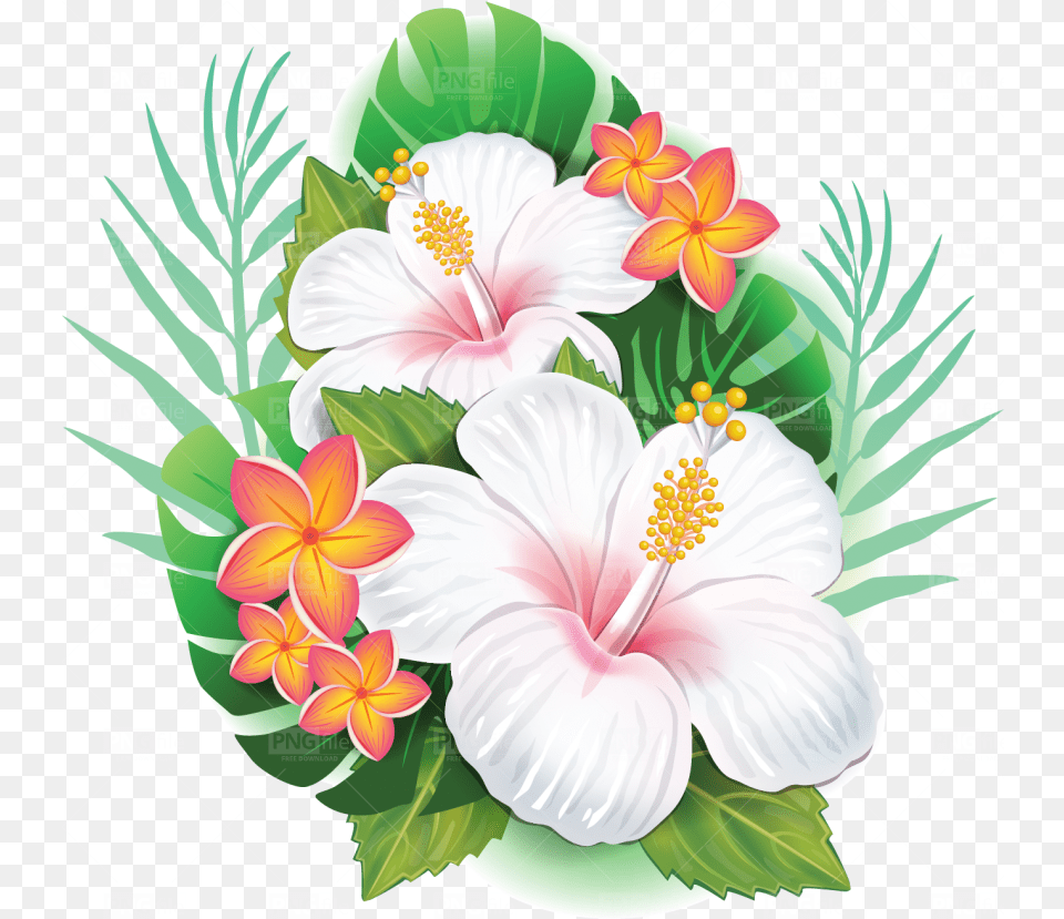 Tropical Flower Tropical Flower, Plant, Hibiscus, Anther Png Image